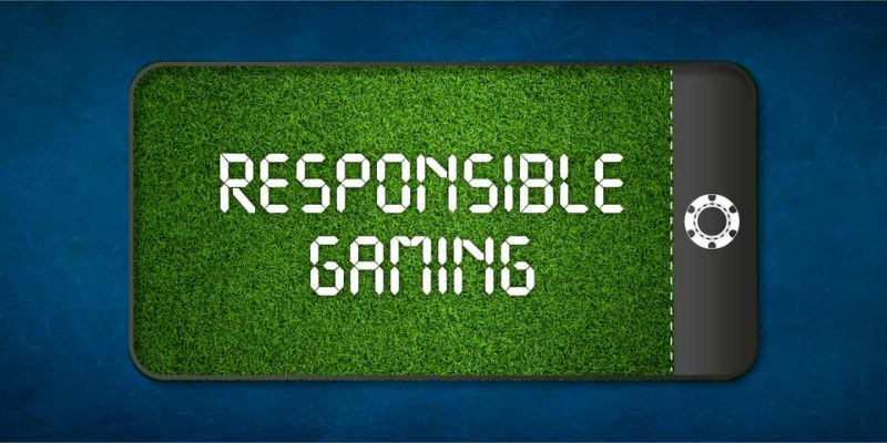 The responsibility of members when participating in betting at the bookmaker