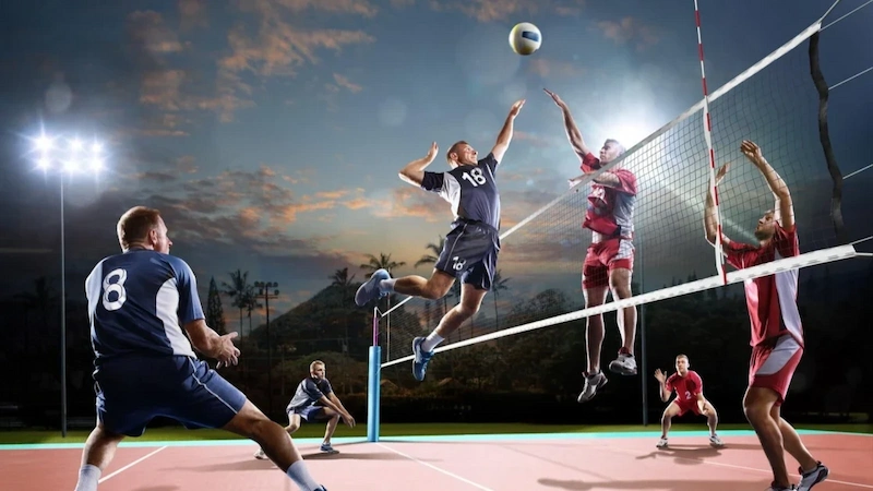 What is Live Volleyball Betting?